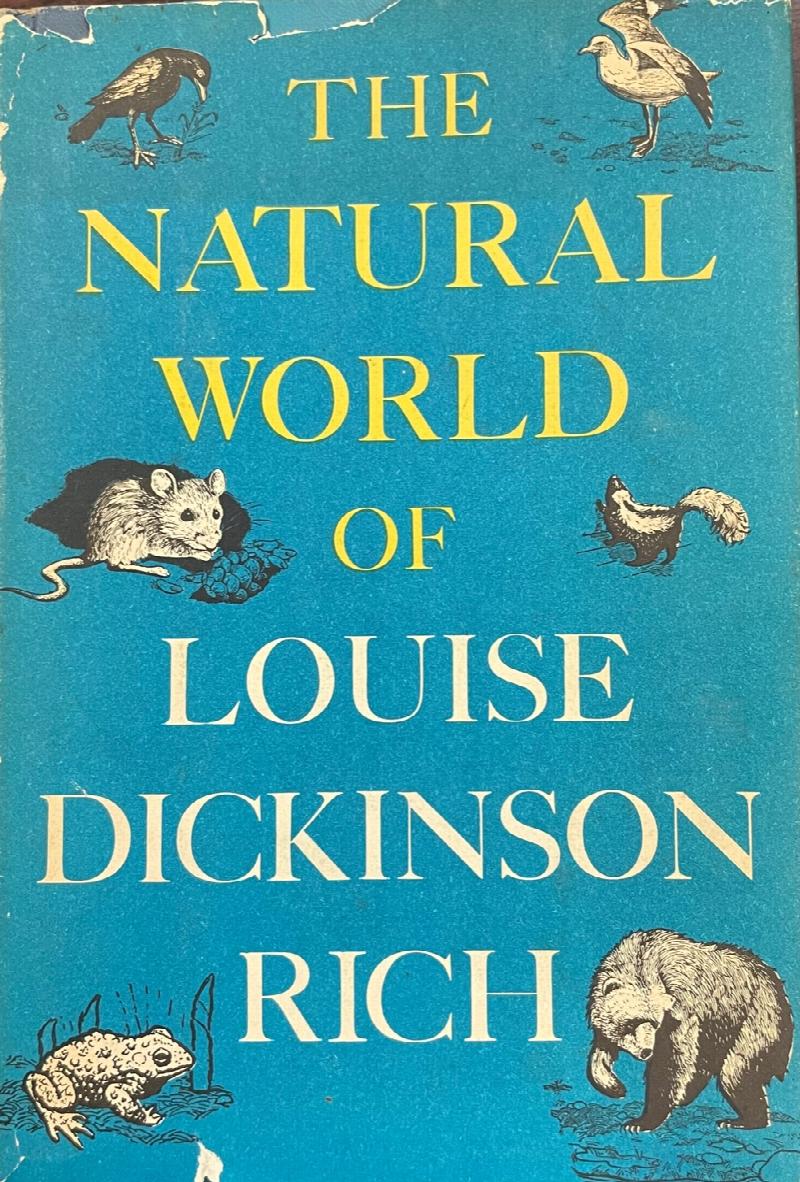 the-natural-world-of-louise-dickinson-rich